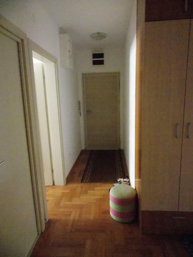 Filip Apartament Nowy Sad Zewnętrze zdjęcie